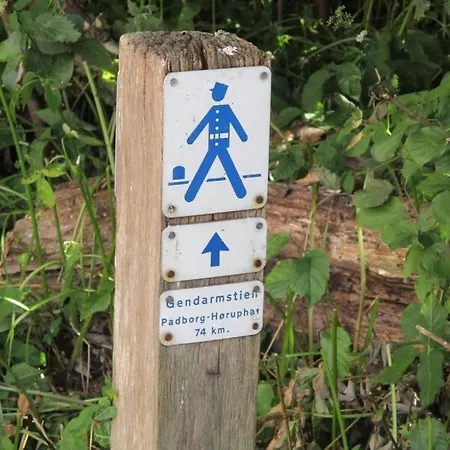 - Simple & Modern * פדבורג