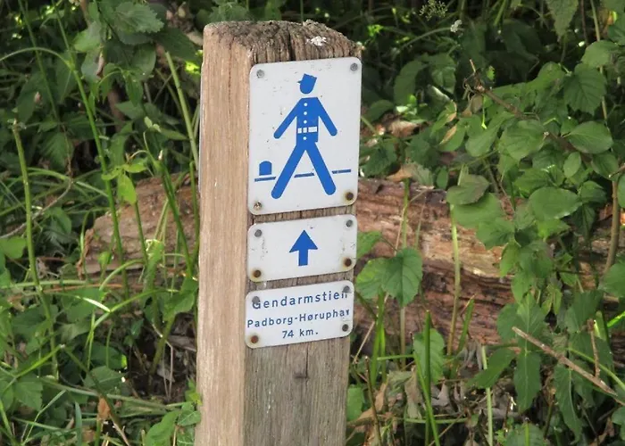 - Simple & Modern * פדבורג